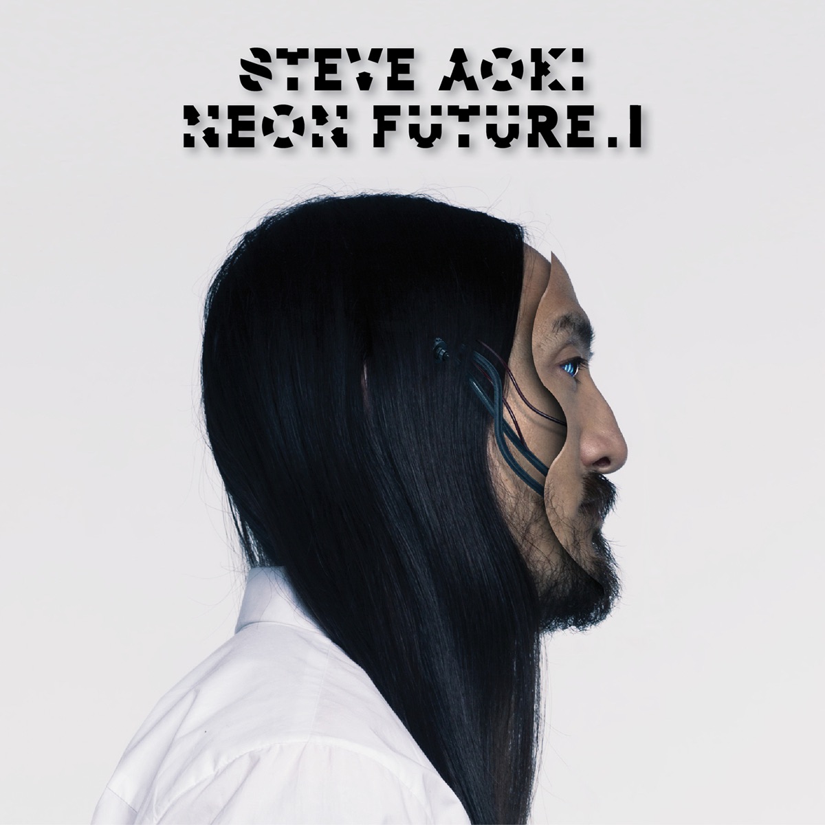 Steve Aoki（スティーヴ・アオキ） - FUTUREGROOVE - FOR HOUSE EDM 